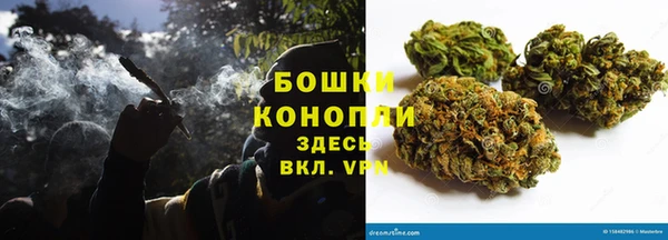 молекула духа Белокуриха