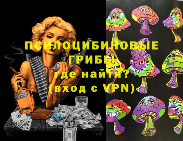 молекула духа Белокуриха
