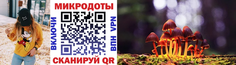 Псилоцибиновые грибы мицелий  где можно купить наркотик  Высоцк 