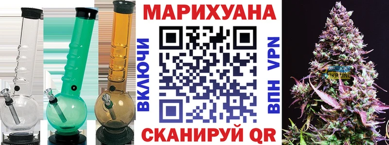 Бошки Шишки планчик  Высоцк 